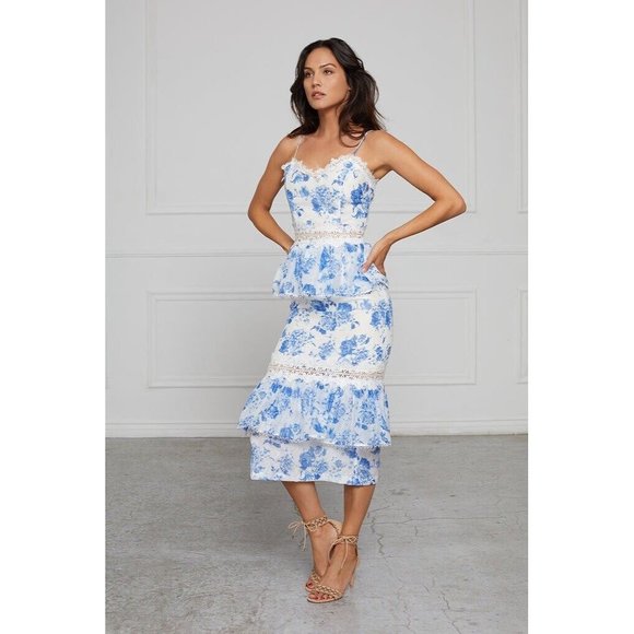 V. CHAPMAN The Daffodil Dress in French Floral Blue - Picture 1 of 12